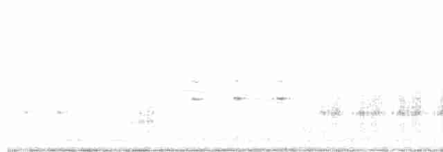 Great Reed Warbler - ML345308391
