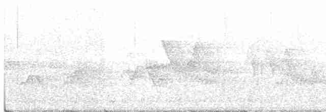 Hooded Warbler - ML345338271
