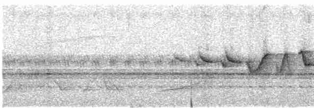 Fan-tailed Warbler - ML345346251