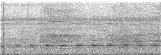 Gray-headed Kite - ML345418421