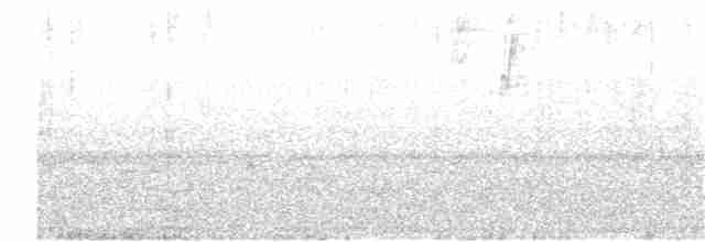 Белохвостая агуйя - ML345453761