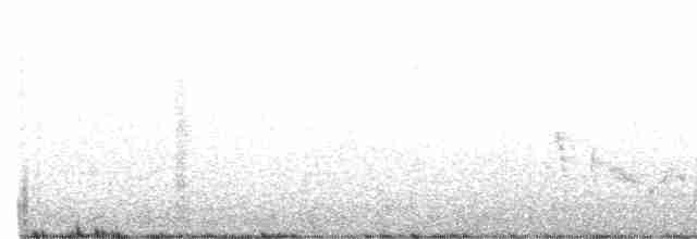 White-eyed Vireo - ML345503141