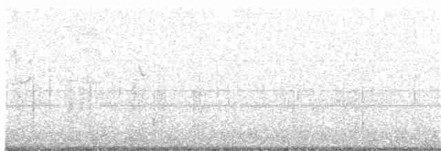Кактусовый крапивник - ML345538661
