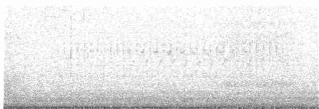 Тауї плямистий - ML345538751