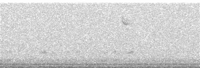 Sperlingsvogel, unbestimmt - ML345539351