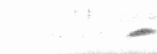 Тауї плямистий (підвид macronyx) - ML345597741