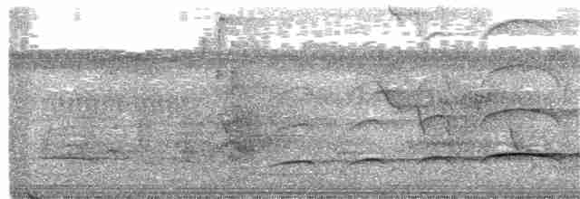 Aigle huppé (groupe limnaeetus) - ML345618651