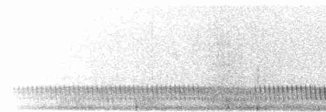 Eurasian Nightjar - ML345627591