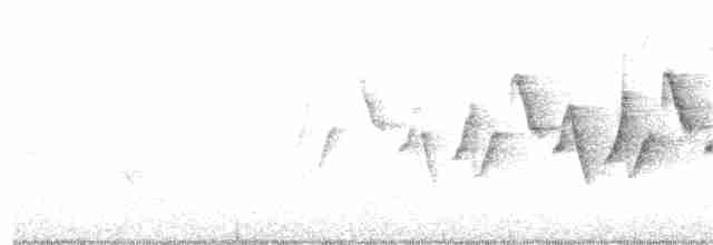 カオグロアメリカムシクイ - ML345627881