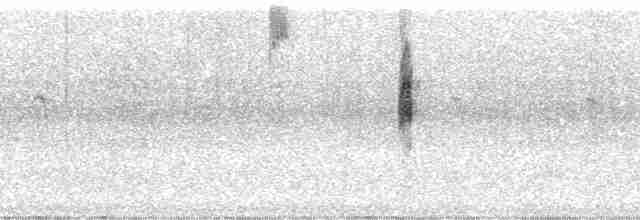 Zapata Çıtkuşu - ML34565