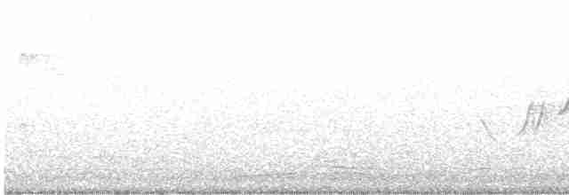Common Yellowthroat - ML345671751