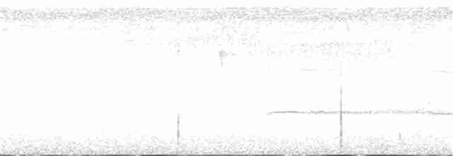 Белая агуйла - ML345714061