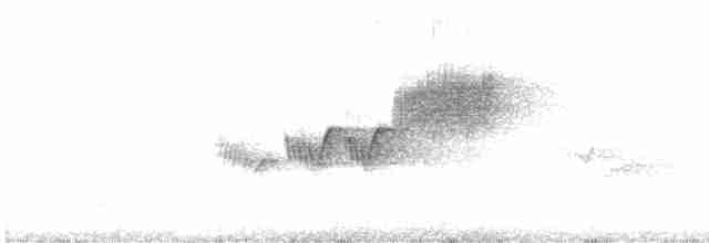Cerulean Warbler - ML345759681