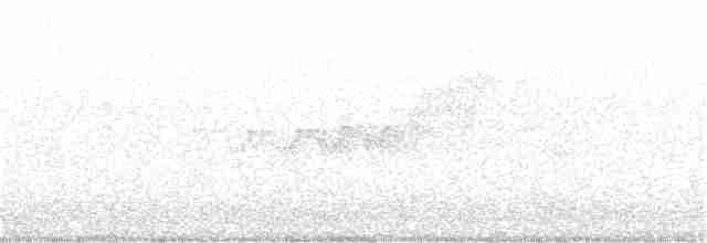 Бурый соловьиный дрозд - ML345788931