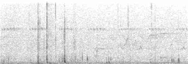 Трясогузковый певун - ML345788971