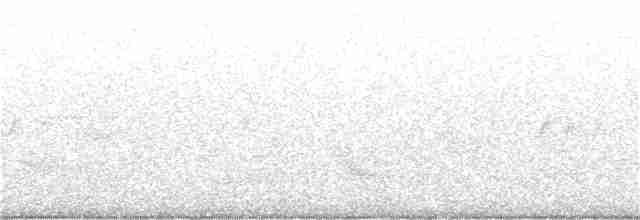 lesňáček modropláštíkový - ML345789021