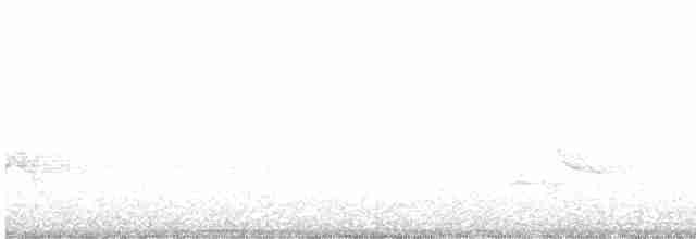 Yellow-throated Warbler - ML345798751