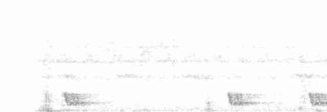 Large-tailed Nightjar - ML34581301