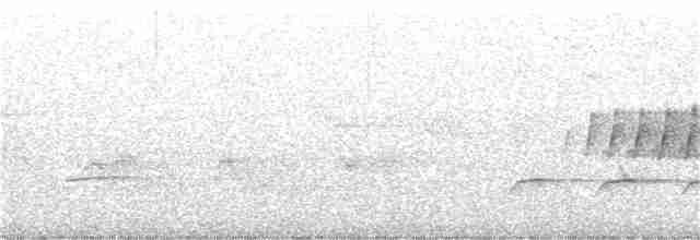 Paruline vermivore - ML345823031