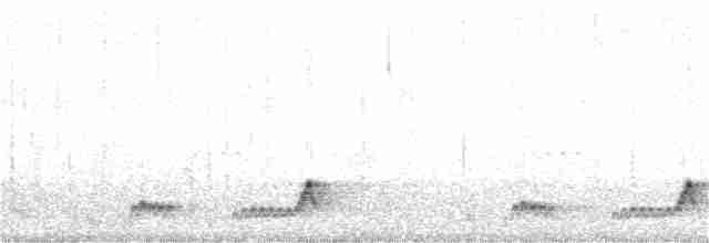 Mexikonachtschwalbe - ML346031201