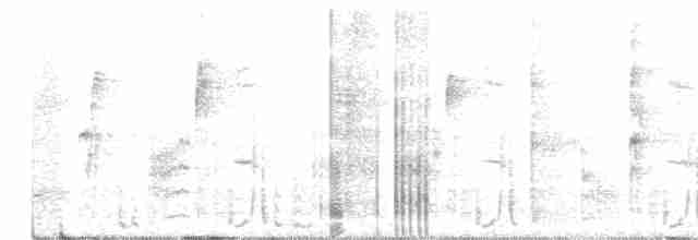 Wedge-tailed Sabrewing - ML346062681