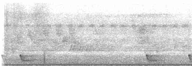 Large-tailed Nightjar - ML346085051