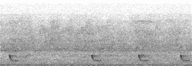 Large-tailed Nightjar - ML346086781