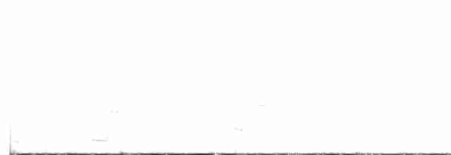Spotless Crake - ML346166781
