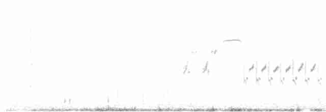 Чернозобая овсянка - ML346174141