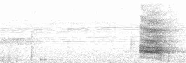Channel-billed Toucan - ML346205431