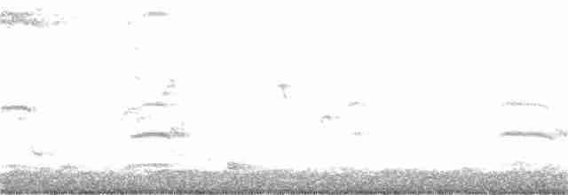 Common Tern - ML346220981