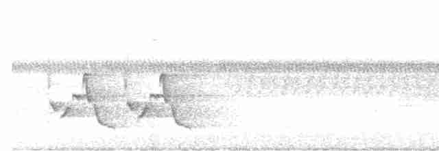 střízlík karolínský - ML346241141