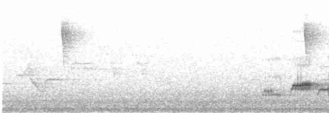 Дрізд-короткодзьоб Cвенсона - ML346251521