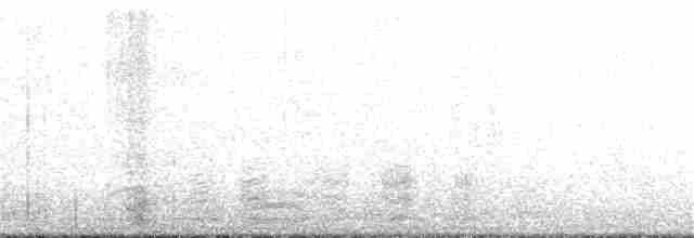 Pipit antarctique - ML346256621
