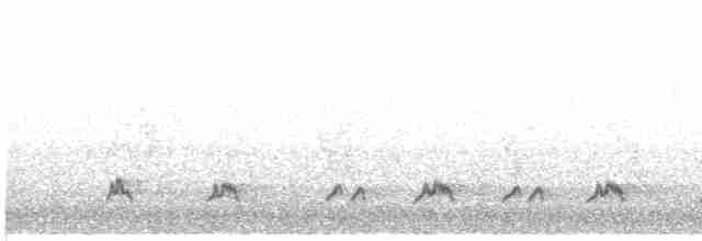 European Bee-eater - ML346267671