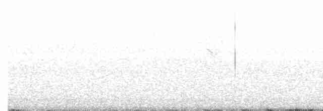 Tennessee Warbler - ML346270631