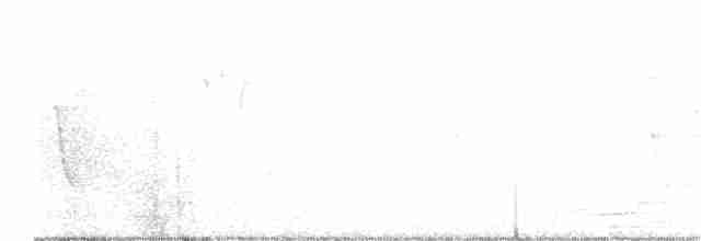 Canada Warbler - ML346278381
