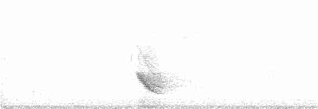 Бурый соловьиный дрозд - ML346300941