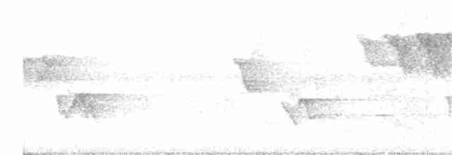 lesňáček modropláštíkový - ML346334621