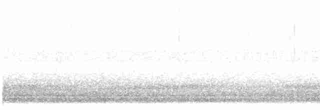 Common Gallinule - ML346335961