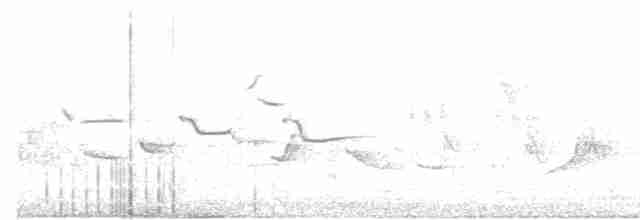 Alder/Willow Flycatcher (Traill's Flycatcher) - ML346380441