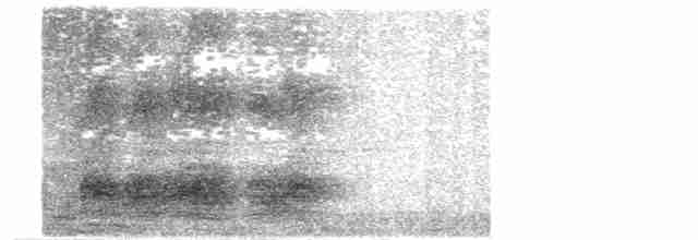 Серогрудая китта - ML346428621