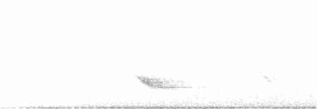 Бурый соловьиный дрозд - ML346467221