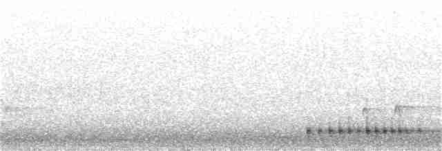 Дятел-смоктун сосновий - ML346506551