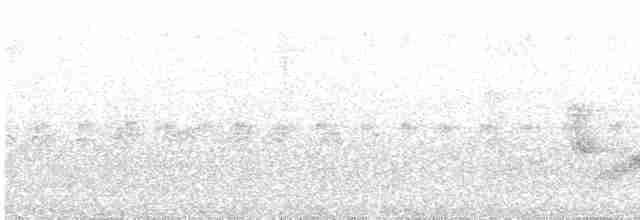 White-eyed Vireo - ML346524051