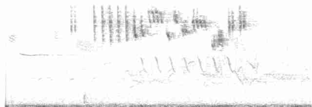 Çekirge Sesli Çayır Serçesi - ML346629921