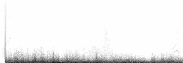 Длиннохвостый поморник - ML346776361