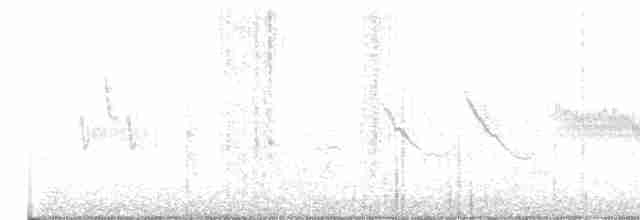 Long-tailed Meadowlark - ML346799201