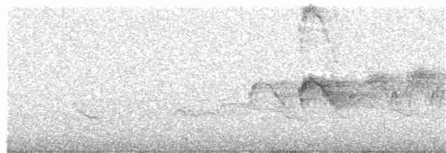 Evening Grosbeak (type 2) - ML346828591