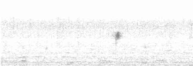Mirlo Acuático Norteamericano - ML34687301